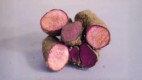 Ube myth vs reality, what real purple yam actually tastes like