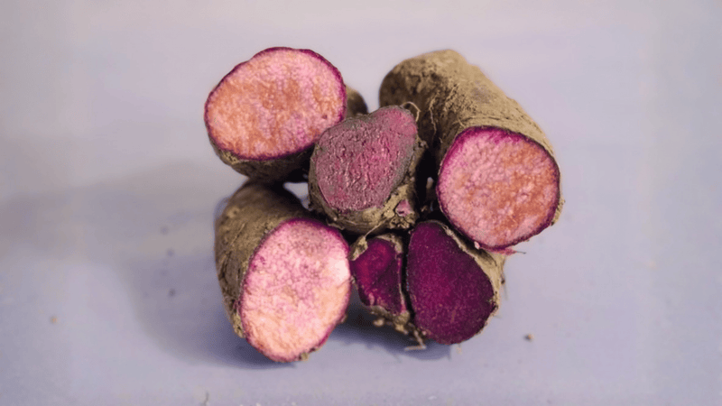 Ube Myth vs Reality. What Real Purple Yam Actually Tastes Like - Kaia